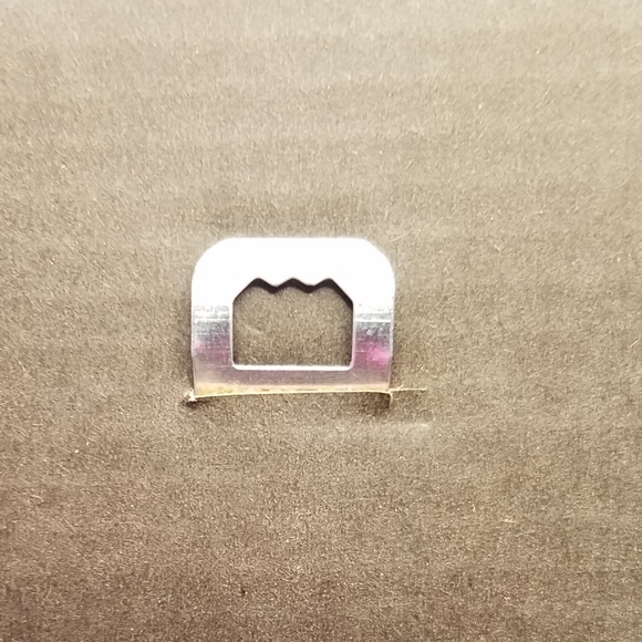 Framed Specimen- Antlion Adult - Picture 7 of 8